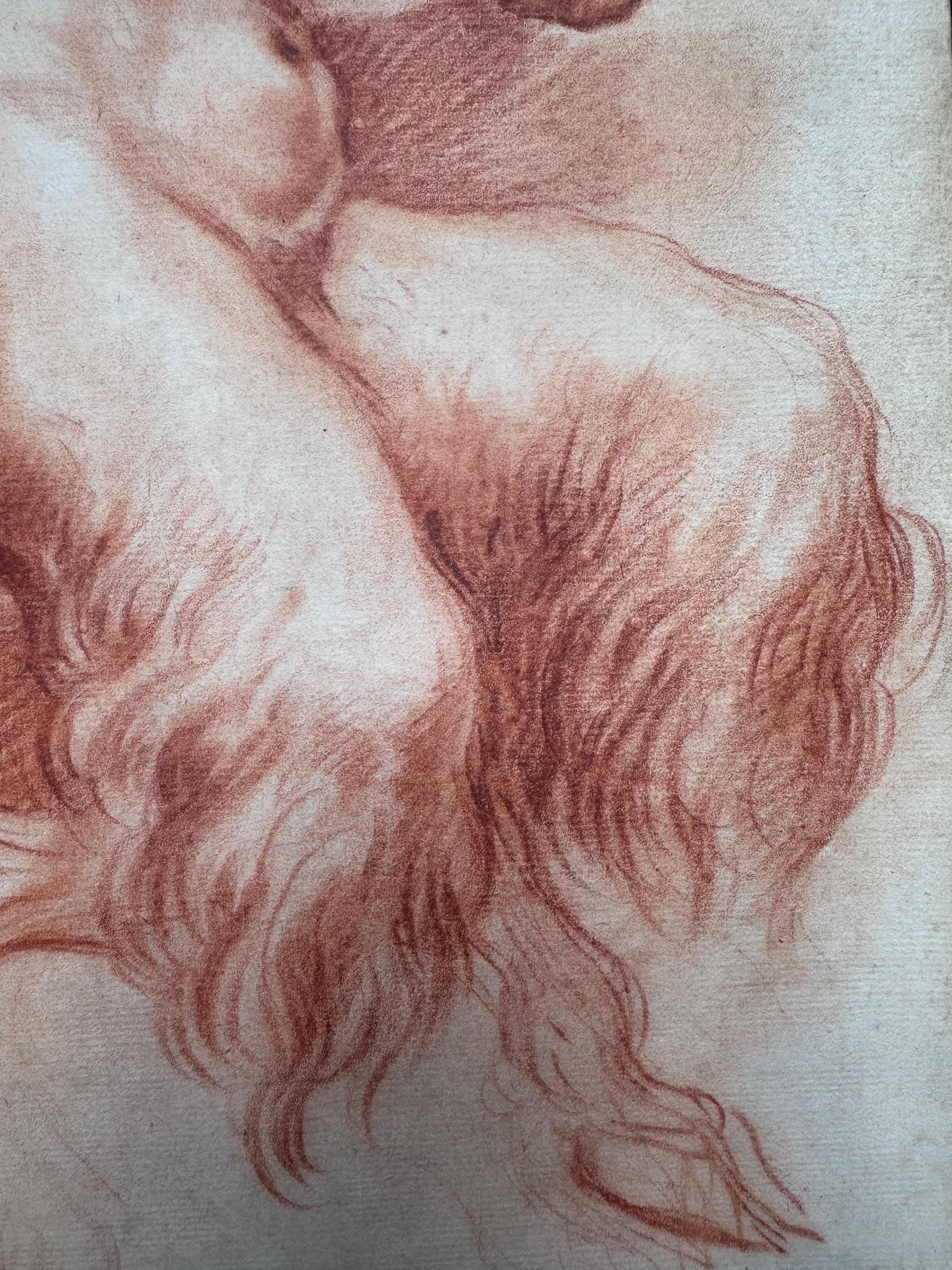 Studio di un Satiro seduto, visto da dietro - Art di Domenico Maria Canuti