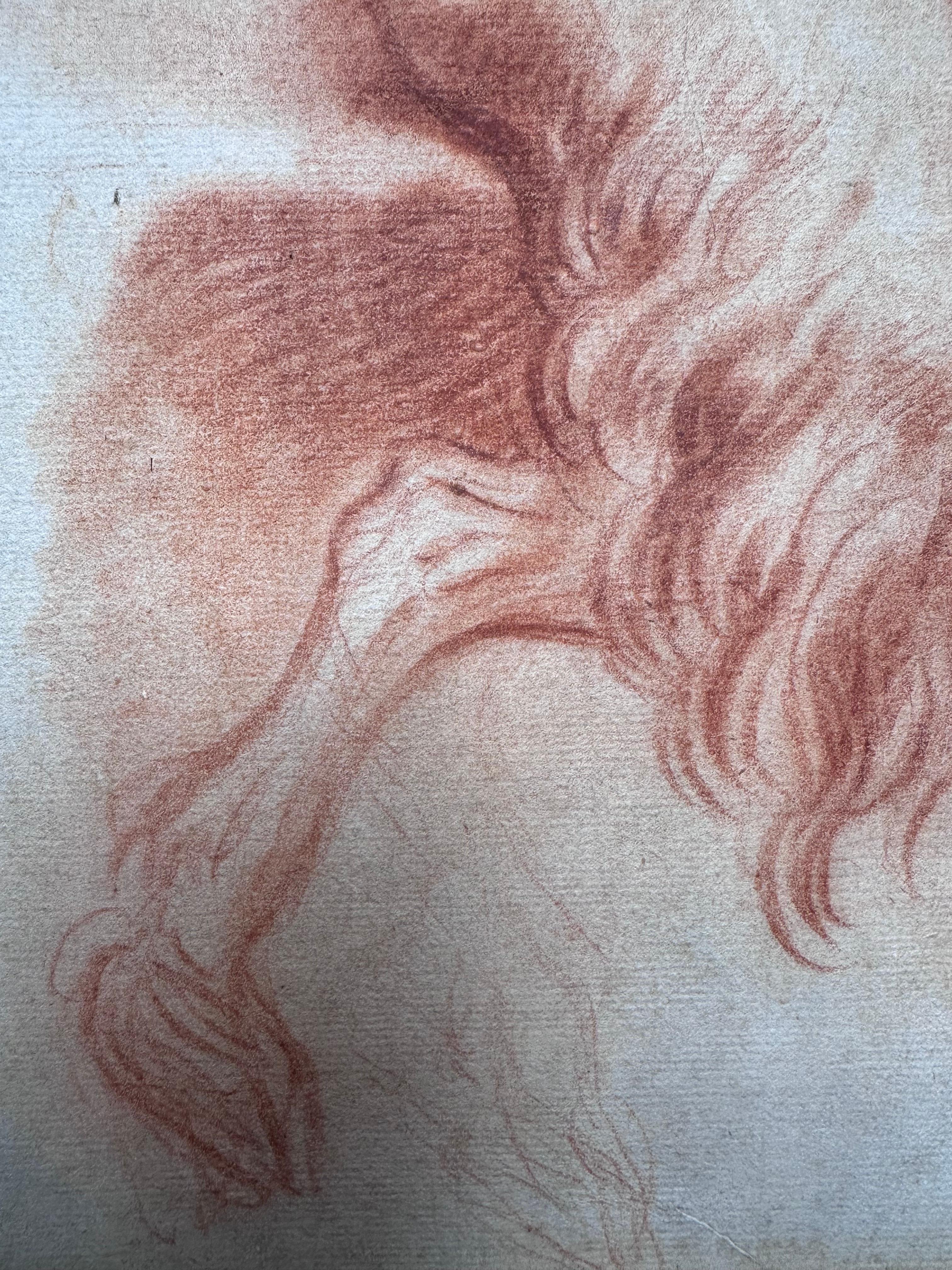 Studio di un Satiro seduto, visto da dietro - Nude Grigio di Domenico Maria Canuti