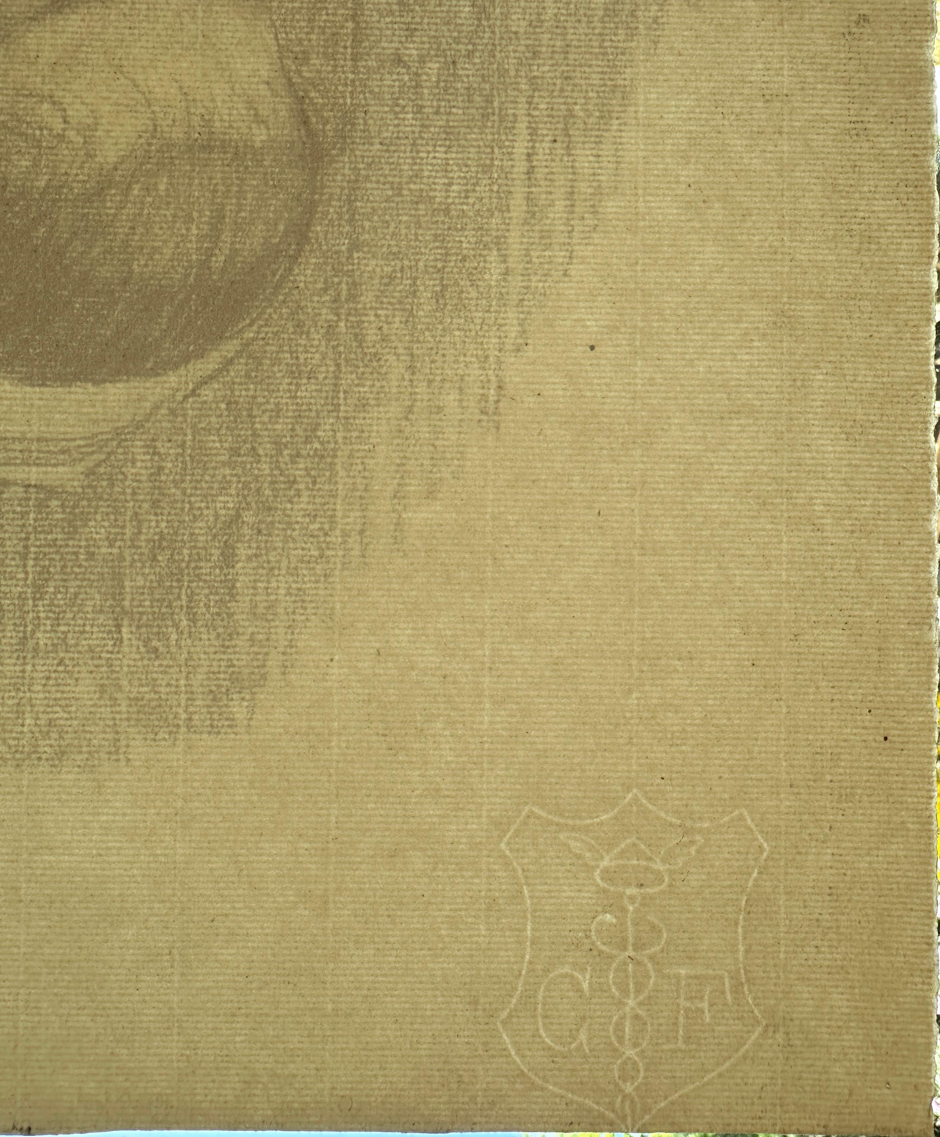 École française, datée de 1907
Portrait d'une jeune fille portant un foulard blanc
Fusain sur papier vergé avec filigrane 