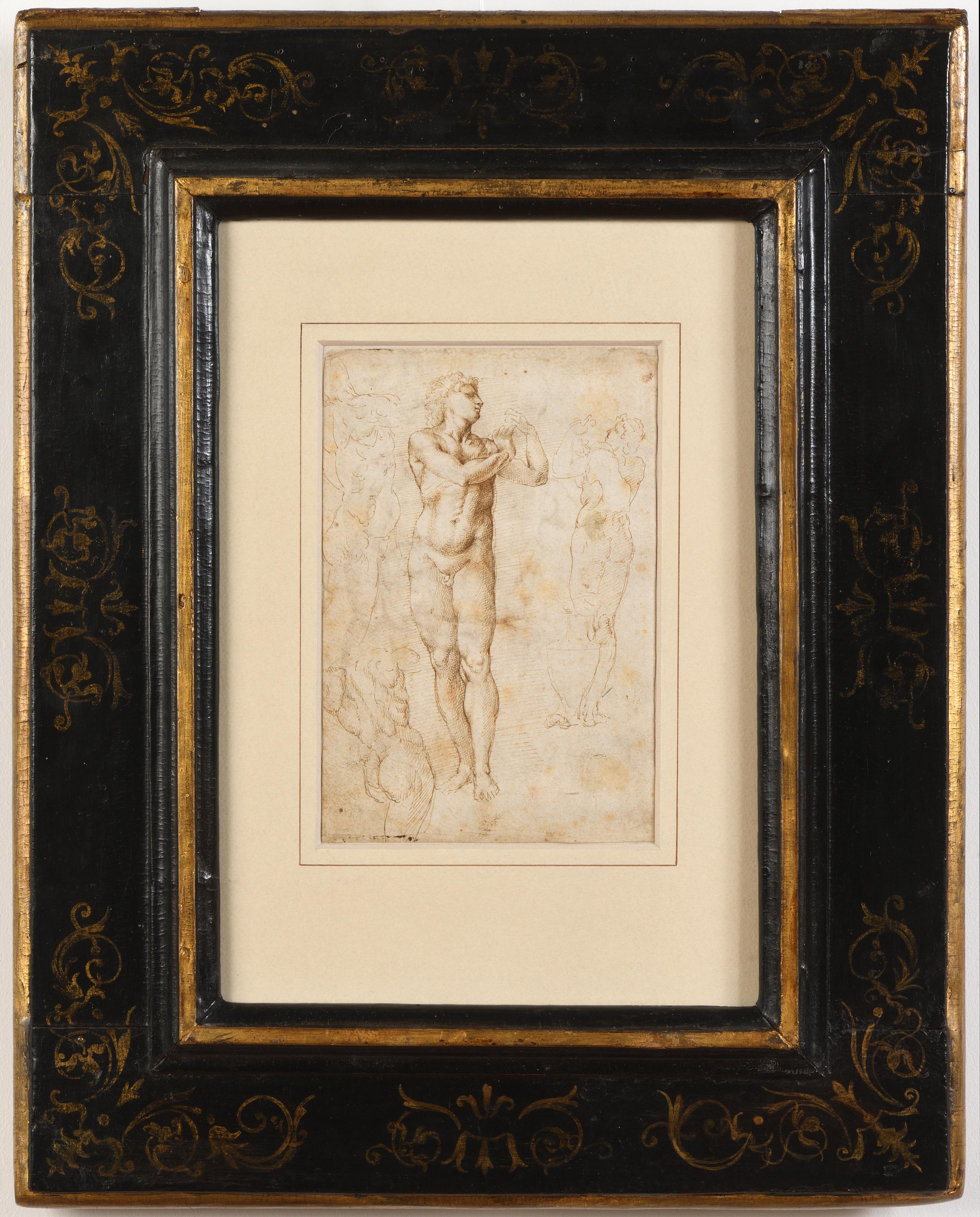 Studies of the Galli Statue and of an Ignudo - Art by Michelangelo Buonarroti