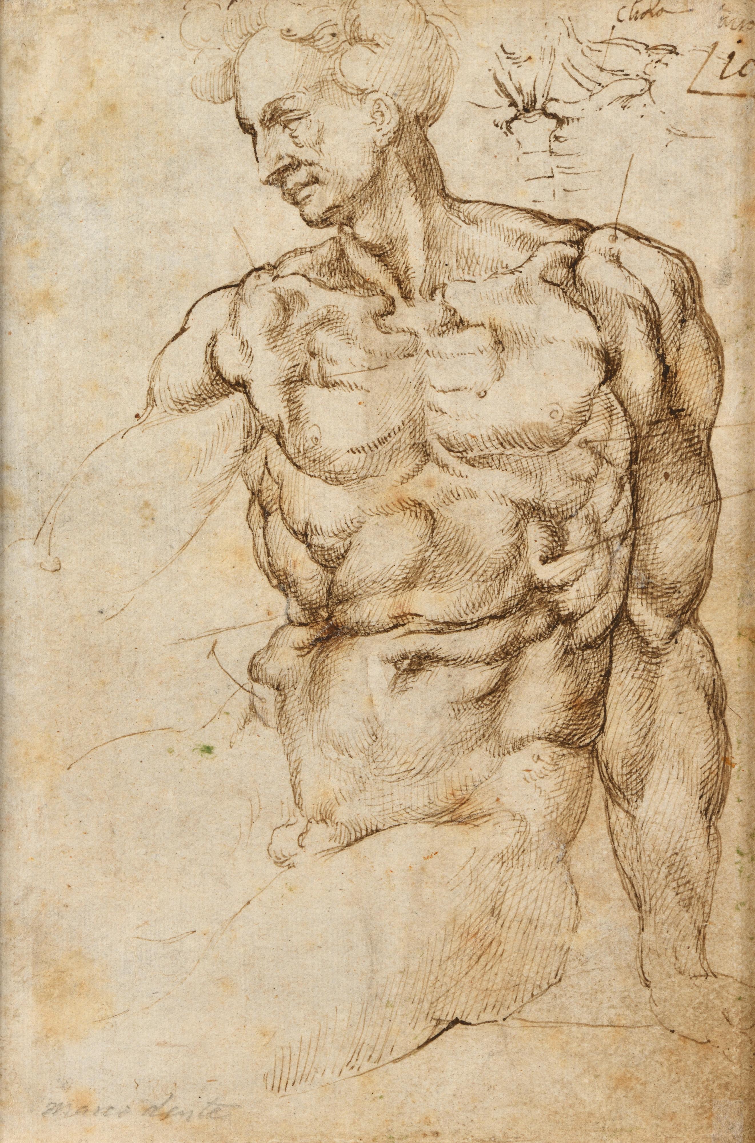 Studies of the Galli Statue and of an Ignudo - Old Masters Art by Michelangelo Buonarroti