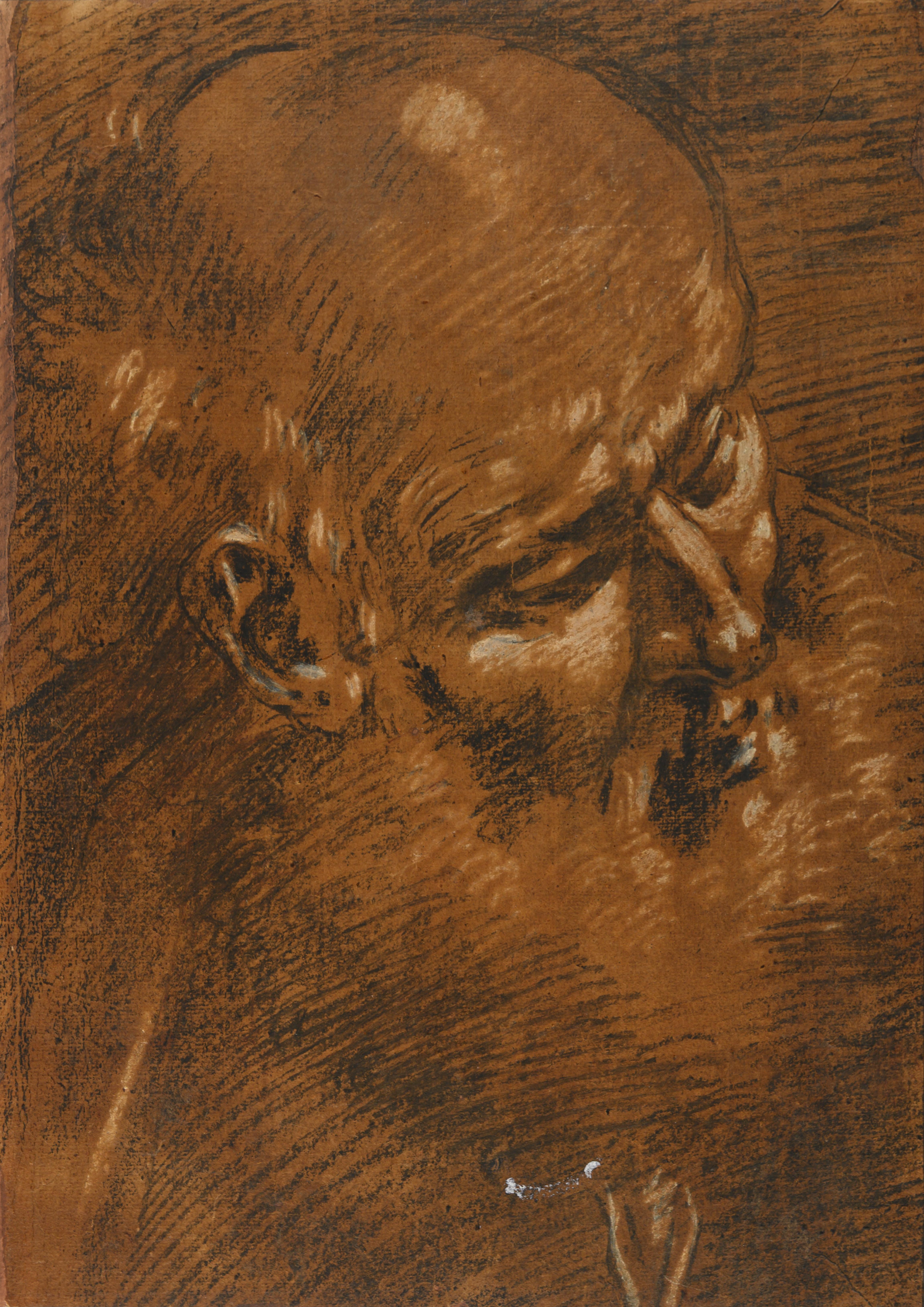 Giacomo Cavedone (1577 - 1660) Testa di vecchio, disegno di un vecchio maestro