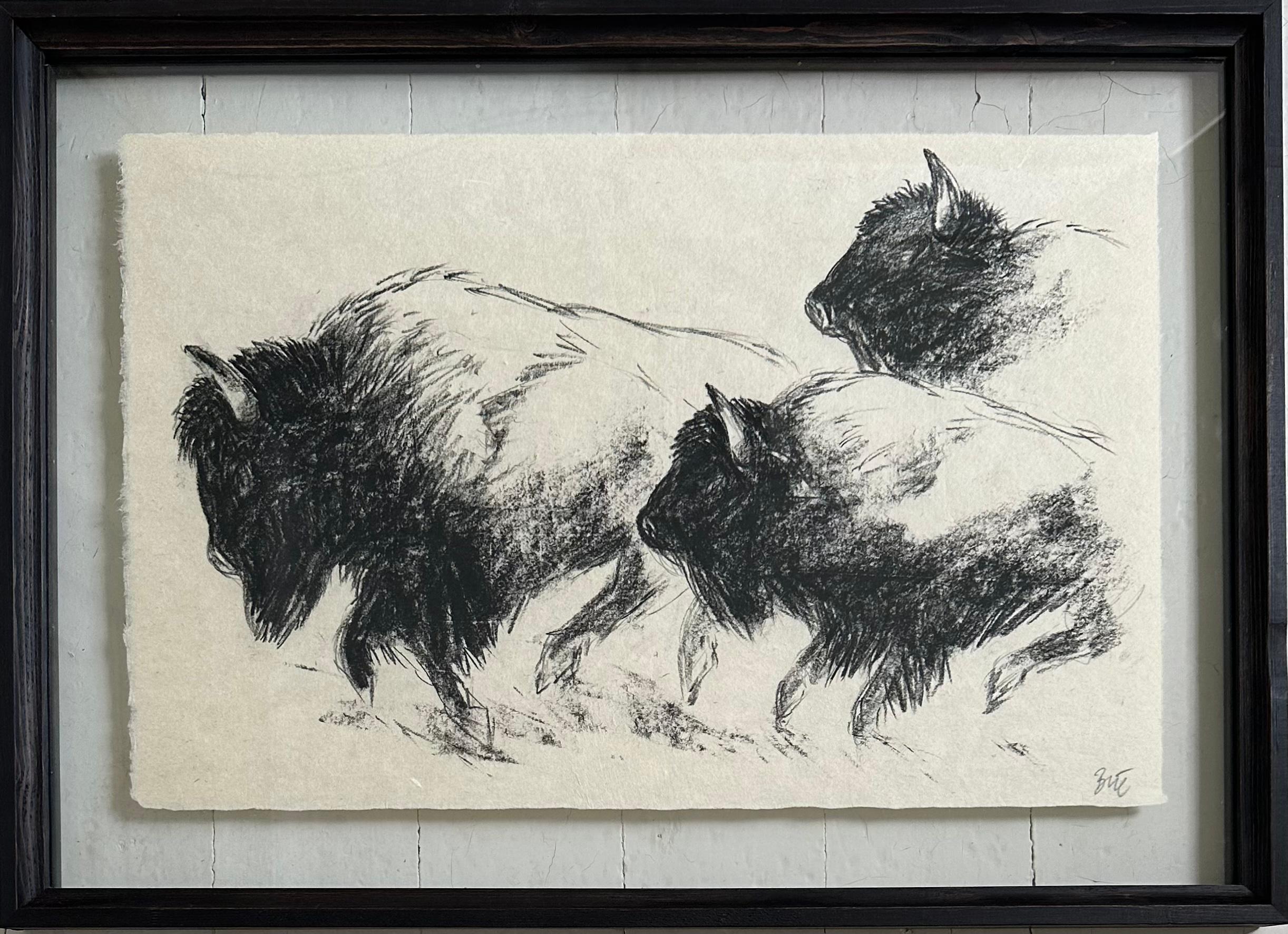 "The Heart Of America IV" Bison Bull Buffalo Charcoal Drawing, Steffen Bue