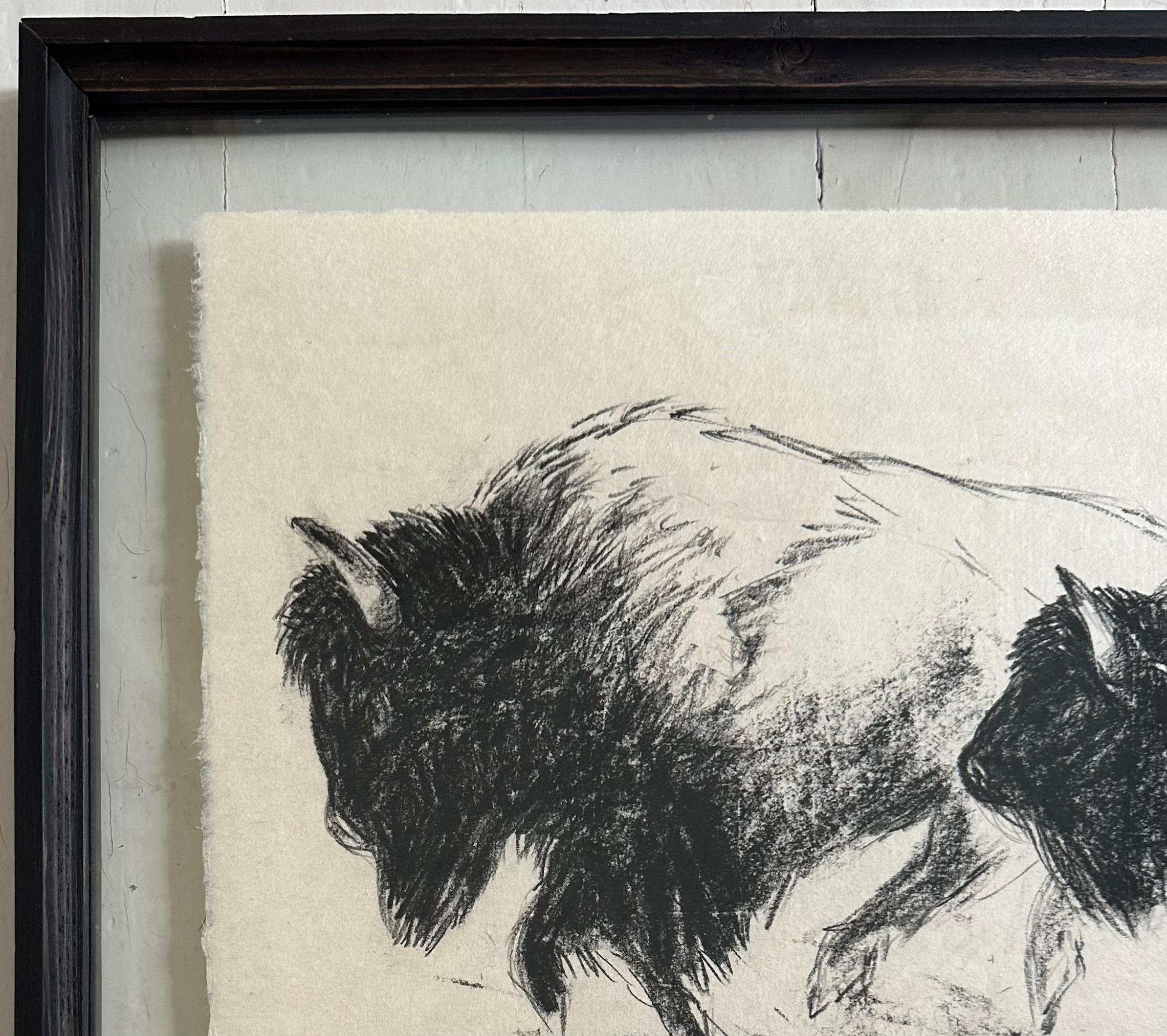 Drawing au fusain Bison Bull Buffalo « The Heart Of America IV », Steffen Bue en vente 2
