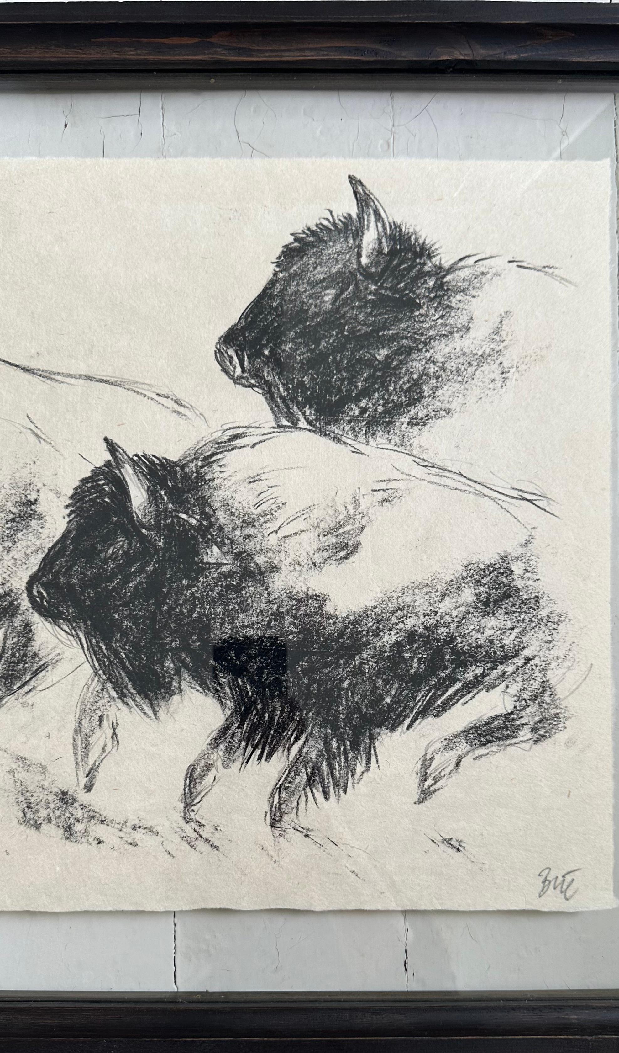 Drawing au fusain Bison Bull Buffalo « The Heart Of America IV », Steffen Bue en vente 3