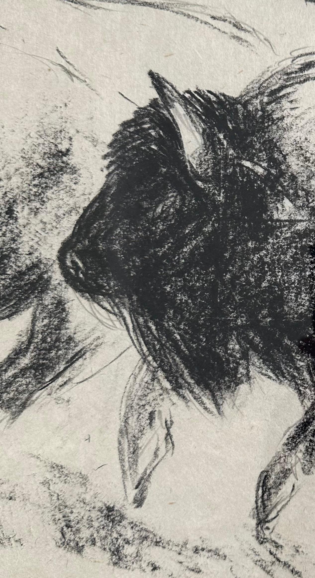 Drawing au fusain Bison Bull Buffalo « The Heart Of America IV », Steffen Bue en vente 5