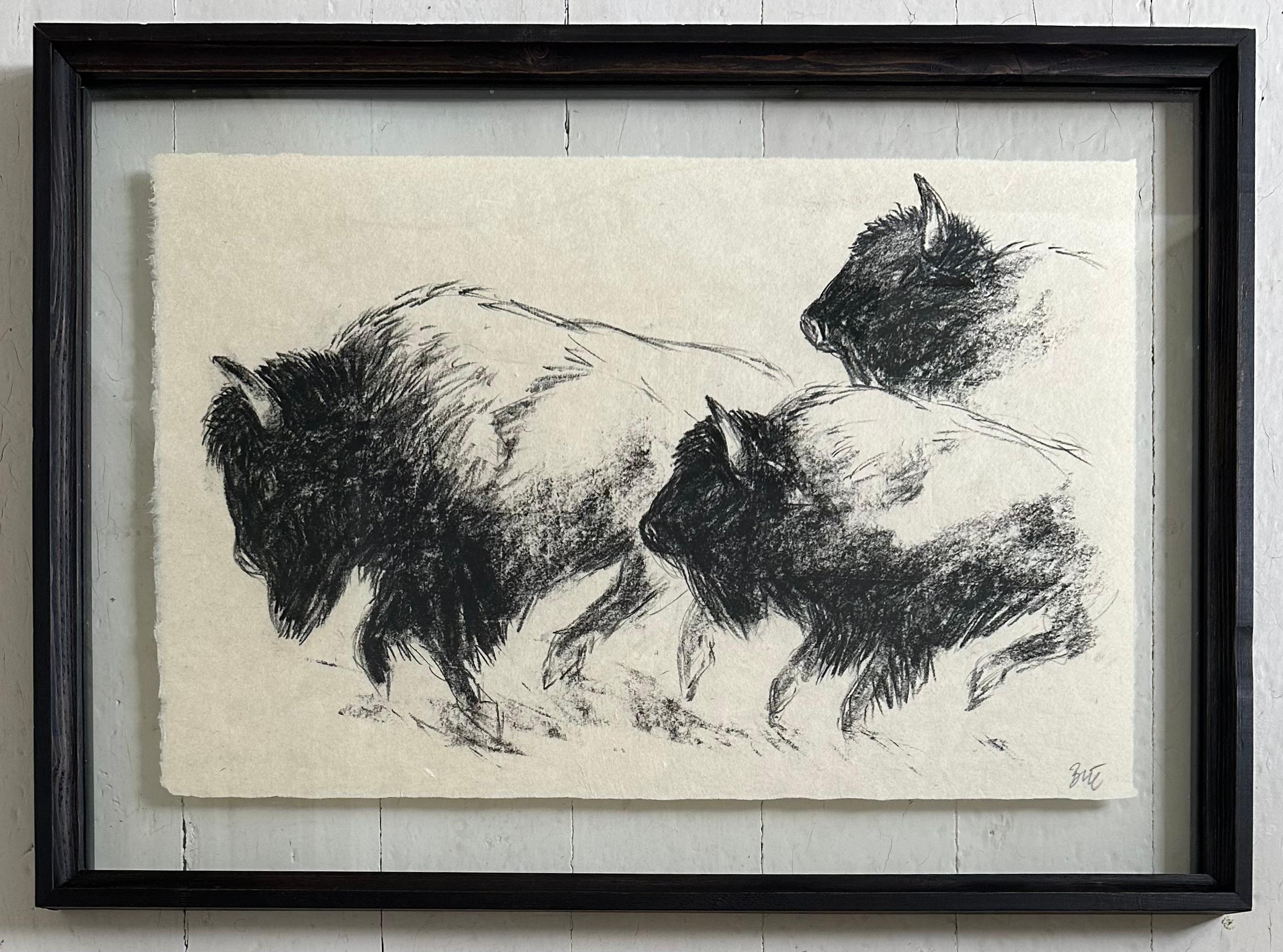 Drawing au fusain Bison Bull Buffalo « The Heart Of America IV », Steffen Bue en vente 6