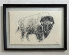 "The Heart Of America II" Bison Bull Buffalo Charcoal Drawing, Steffen Bue