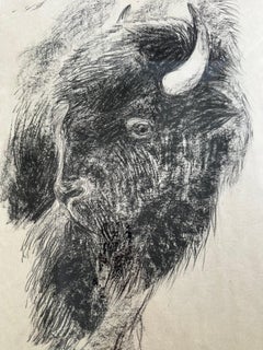 "Il cuore dell'America VI" Disegno a carboncino di toro bisonte, Steffen Bue