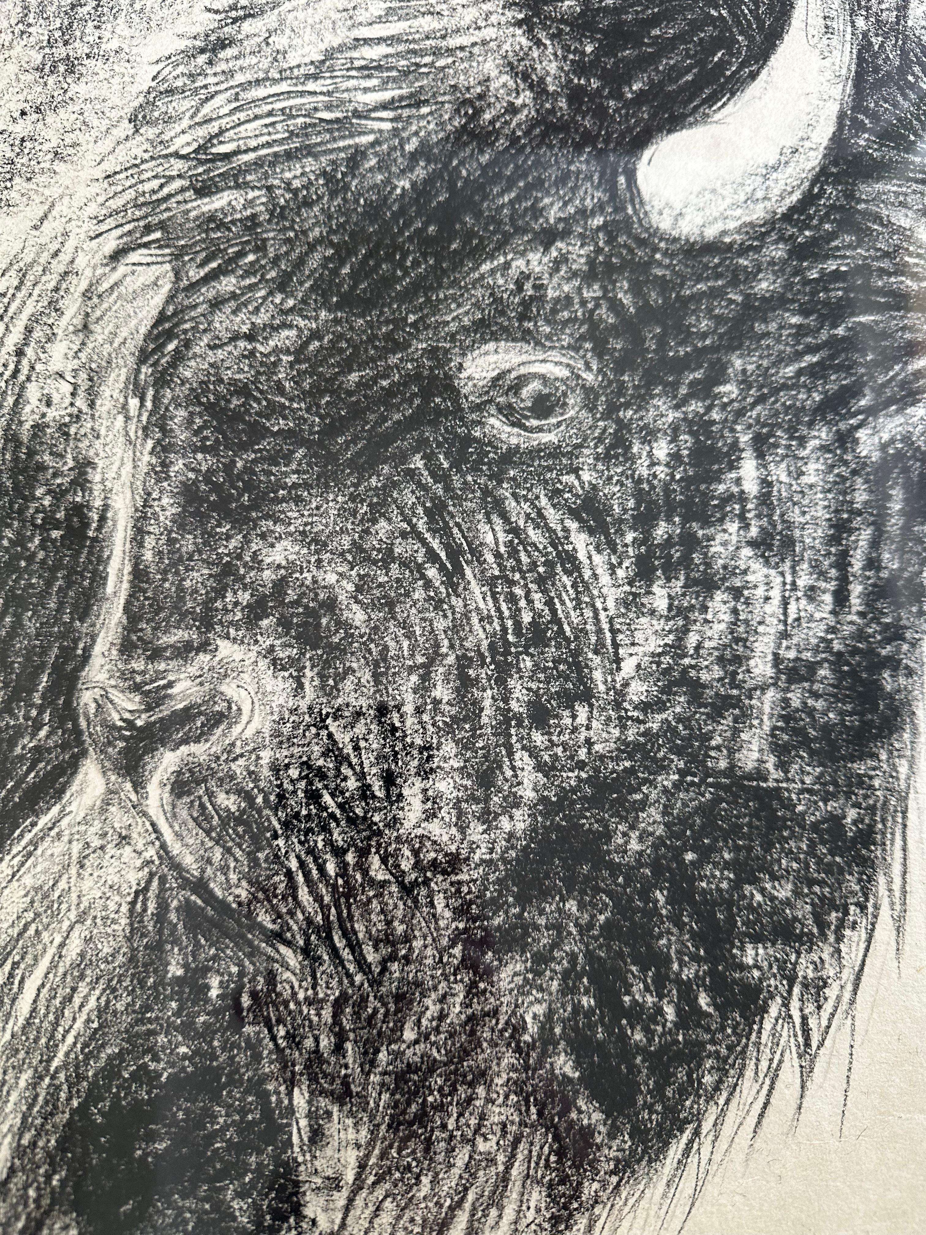 Drawing au fusain Bison Bull Buffalo « The Heart Of America VI », Steffen Bue en vente 2
