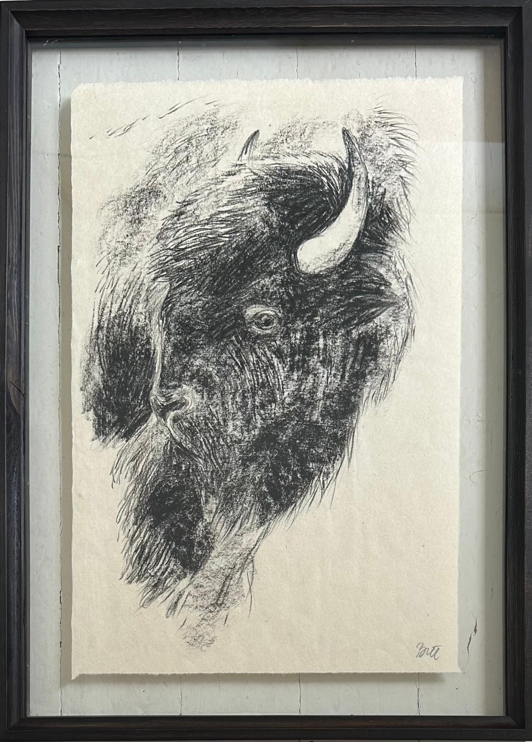 „The Heart Of America VI“ Bison Bull Buffalo Kohlezeichnung, Steffen Bue, „The Heart Of America VI“