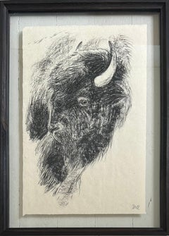 "The Heart Of America VI" Bison Bull Buffalo Charcoal Drawing, Steffen Bue