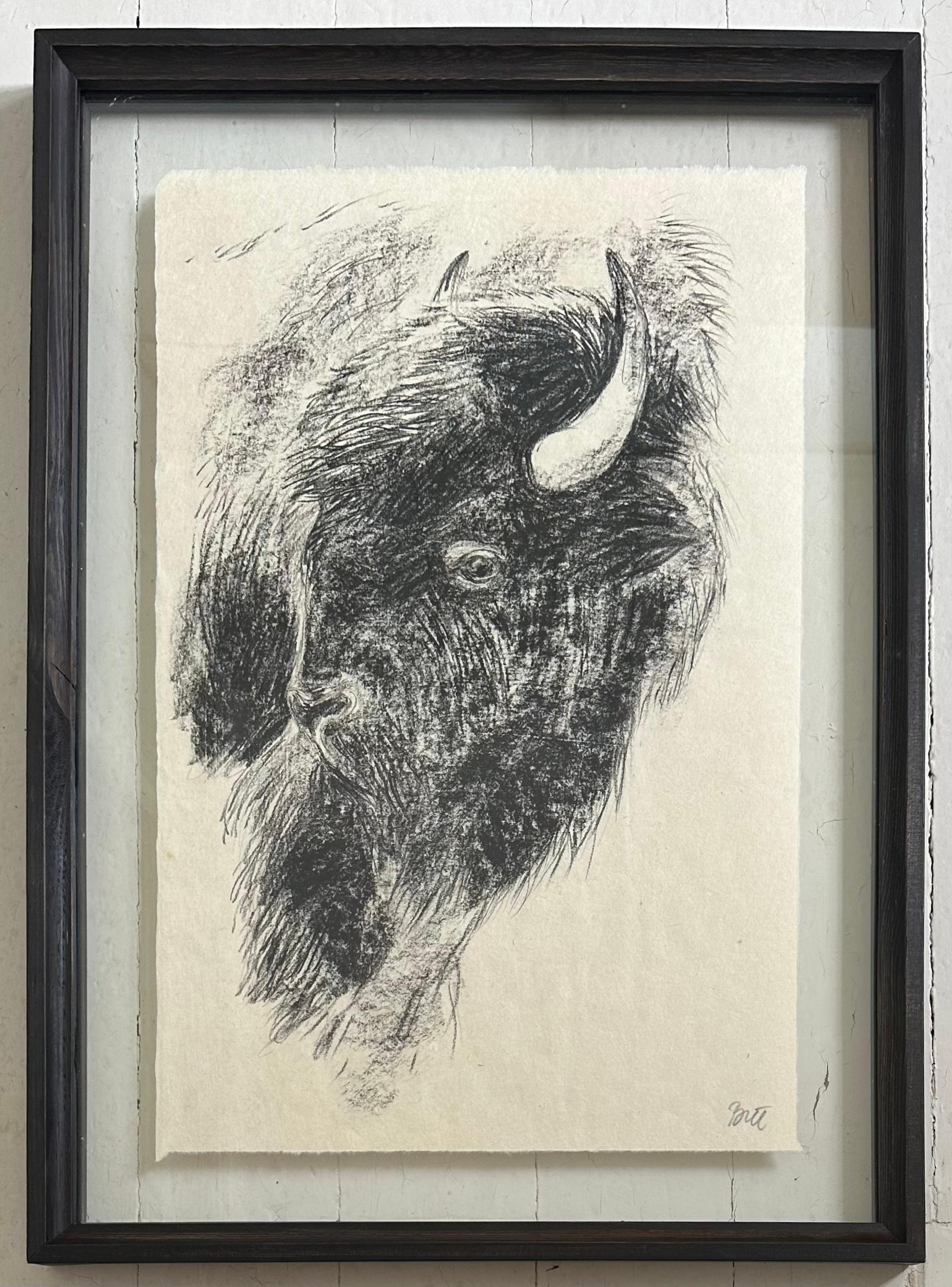 Drawing au fusain Bison Bull Buffalo « The Heart Of America VI », Steffen Bue en vente 5