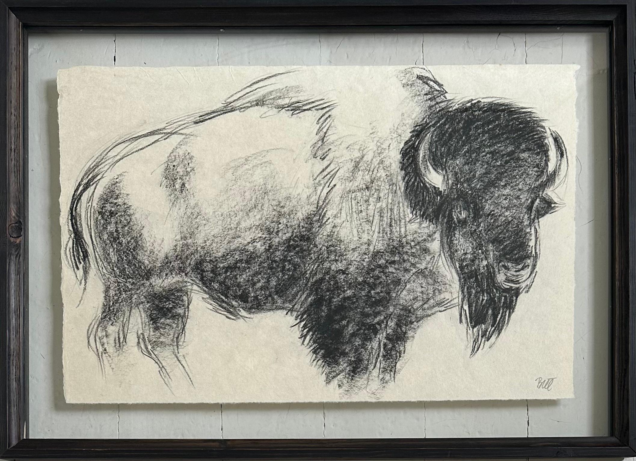 „The Heart Of America I“ Bison Bull Buffalo Kohlezeichnung, Steffen Bue