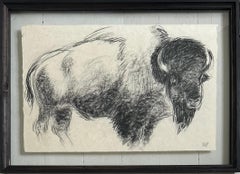„The Heart Of America I“ Bison Bull Buffalo Kohlezeichnung, Steffen Bue