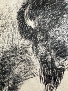 "Il cuore dell'America I" Disegno a carboncino del bisonte, Steffen Bue