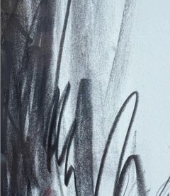 Jake Wood-Evans, Butterfly drawing, 2010