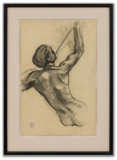 Akademische Studienstudie (Archer)