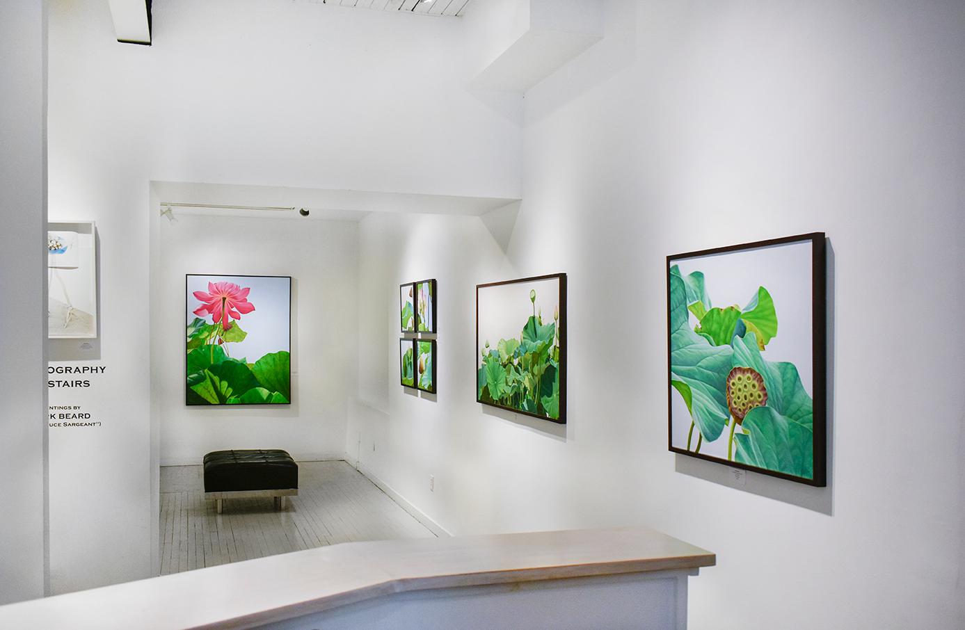 Lotus 25: Fotorealistisches Stillleben mit rosa Blume und grünen Blättern auf blauem Grund im Angebot 1