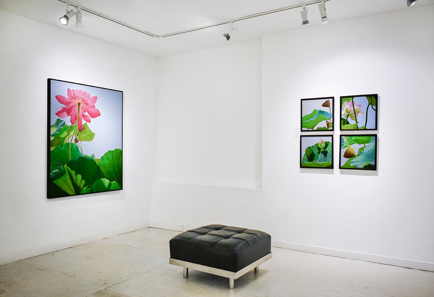 Lotus 25: Fotorealistisches Stillleben mit rosa Blume und grünen Blättern auf blauem Grund im Angebot 2