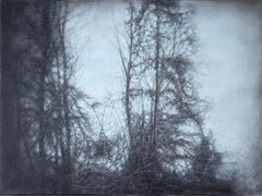 Inner Landscape (Contemporary Charcoal Drawing of Trees with Blue Tinted Sky)