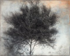 Spindle (Contemporary Charcoal Drawing of A Tree w/ Pale Blue and Peach Sky)
