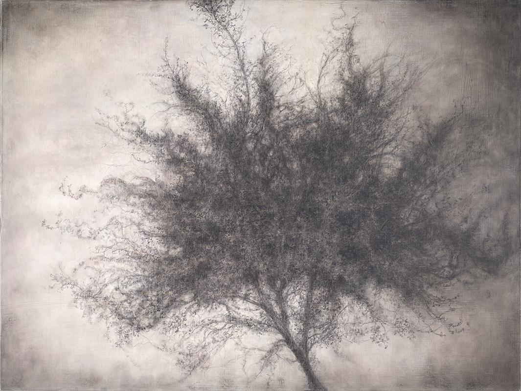Sue Bryan Still-Life - Sprig (Dramatic Charcoal Still Life Drawing of Single Tree, Exquisite Detail)