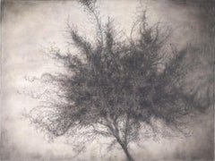 Sprig (Dramatic Charcoal Still Life Drawing of Single Tree, Exquisite Detail)