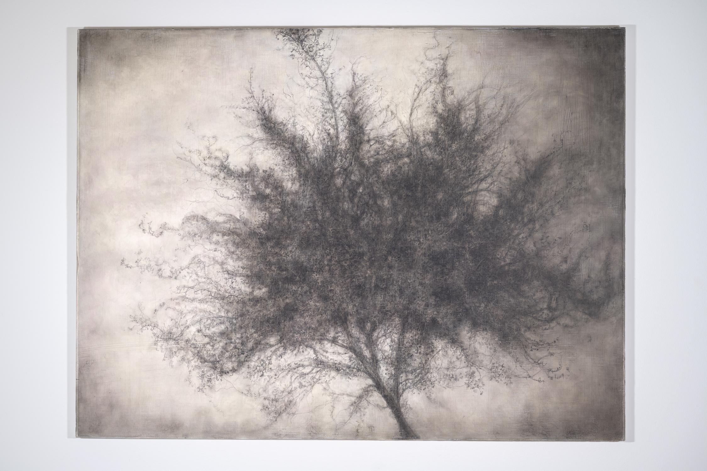 Sprig (Dramatic Charcoal Still Life Drawing of Single Tree, Exquisite Detail) - Art by Sue Bryan