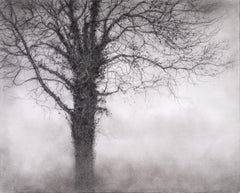 Dearheart (Realistic Charcoal Tree Landscape Drawing by Sue Bryan)