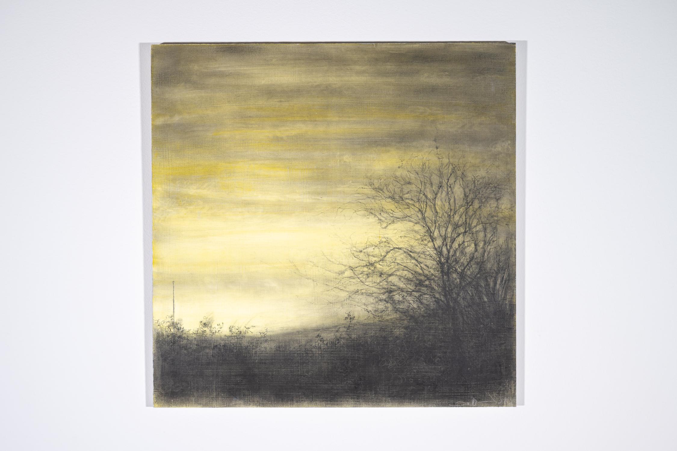Campo amarillo (Dibujo realista al carboncillo de paisaje forestal de Sue Bryan) 1