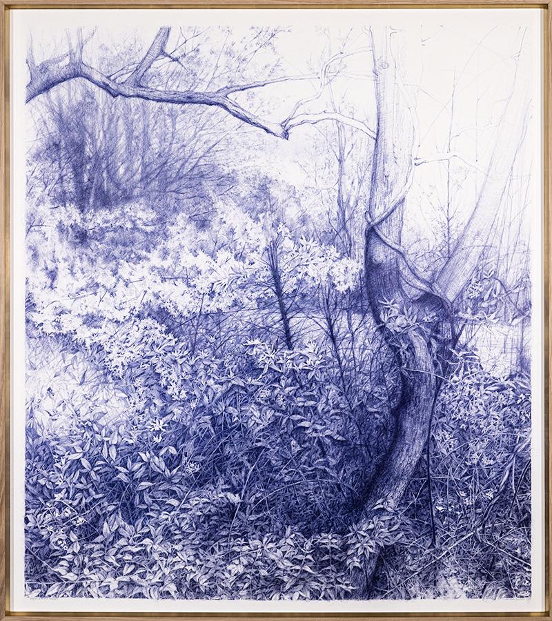 Dream a Little Dream (Detailed Blue Ball-Point Drawing of a Forest Landscape)