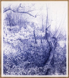 Used Dream a Little Dream (Detailed Blue Ball-Point Drawing of a Forest Landscape)