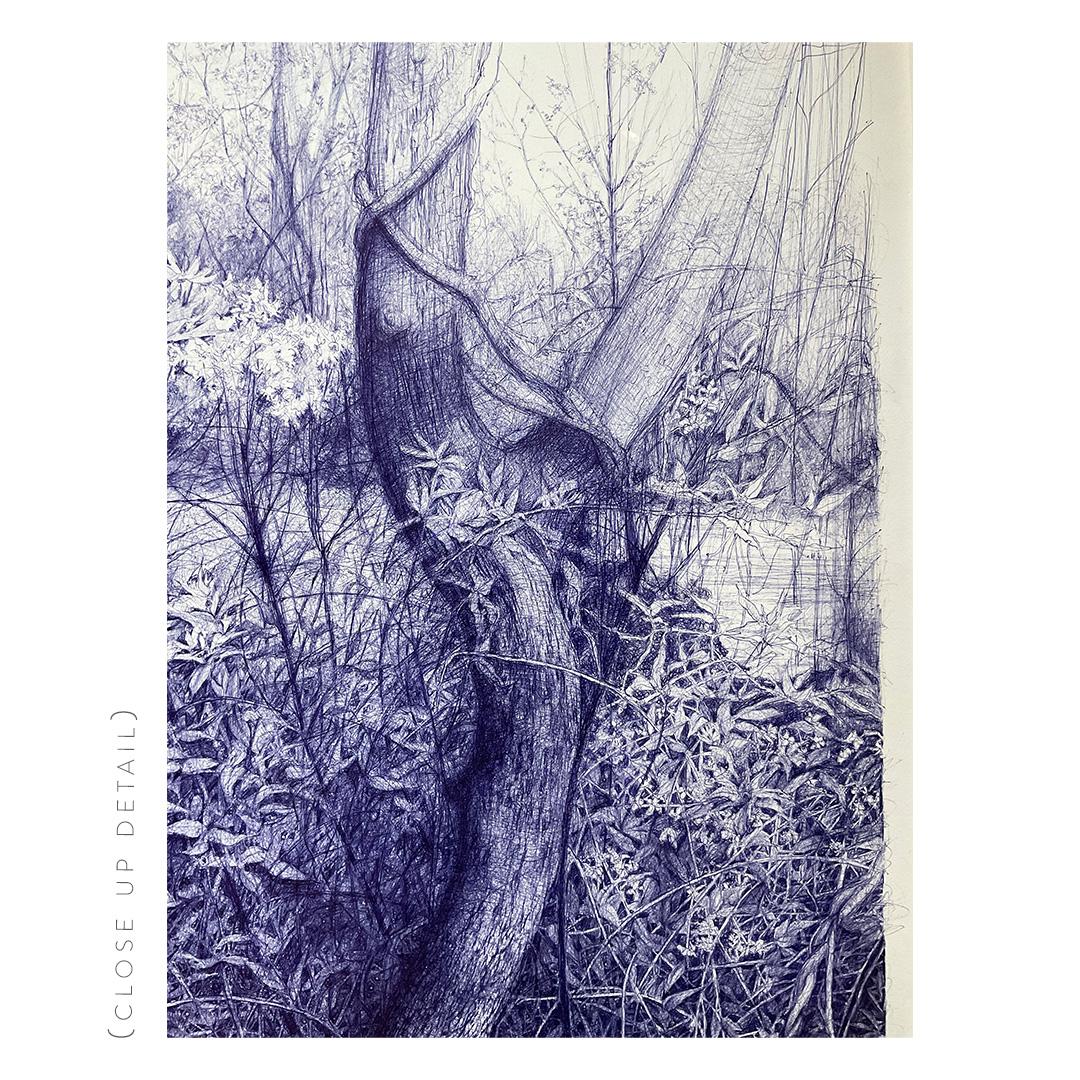 Dream a Little Dream (Detailed Blue Ball-Point Drawing of a Forest Landscape) - Contemporary Art by Linda Newman Boughton