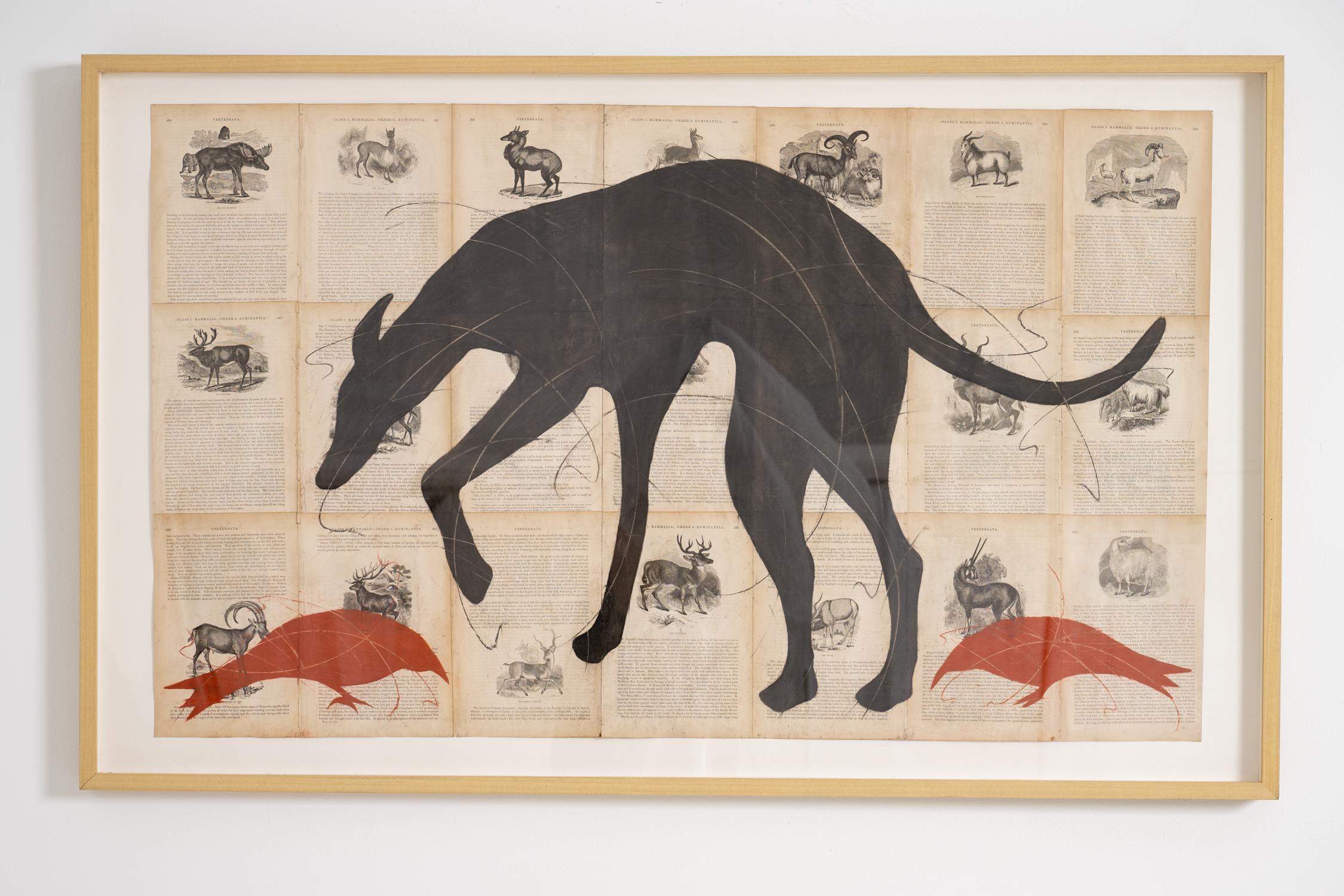 The Searchers (disegno figurativo a gesso di un cane su pagine di libri vintage) - Art di Louise Laplante