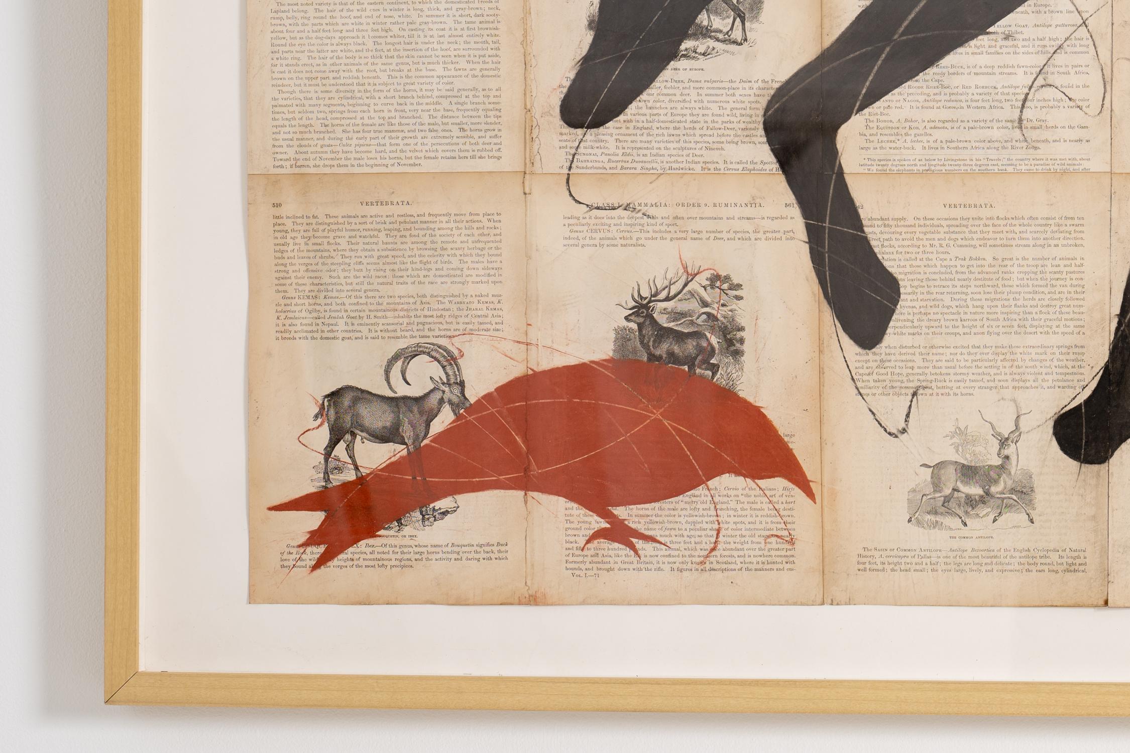 The Searchers (disegno figurativo a gesso di un cane su pagine di libri vintage) - Animal Art Beige di Louise Laplante