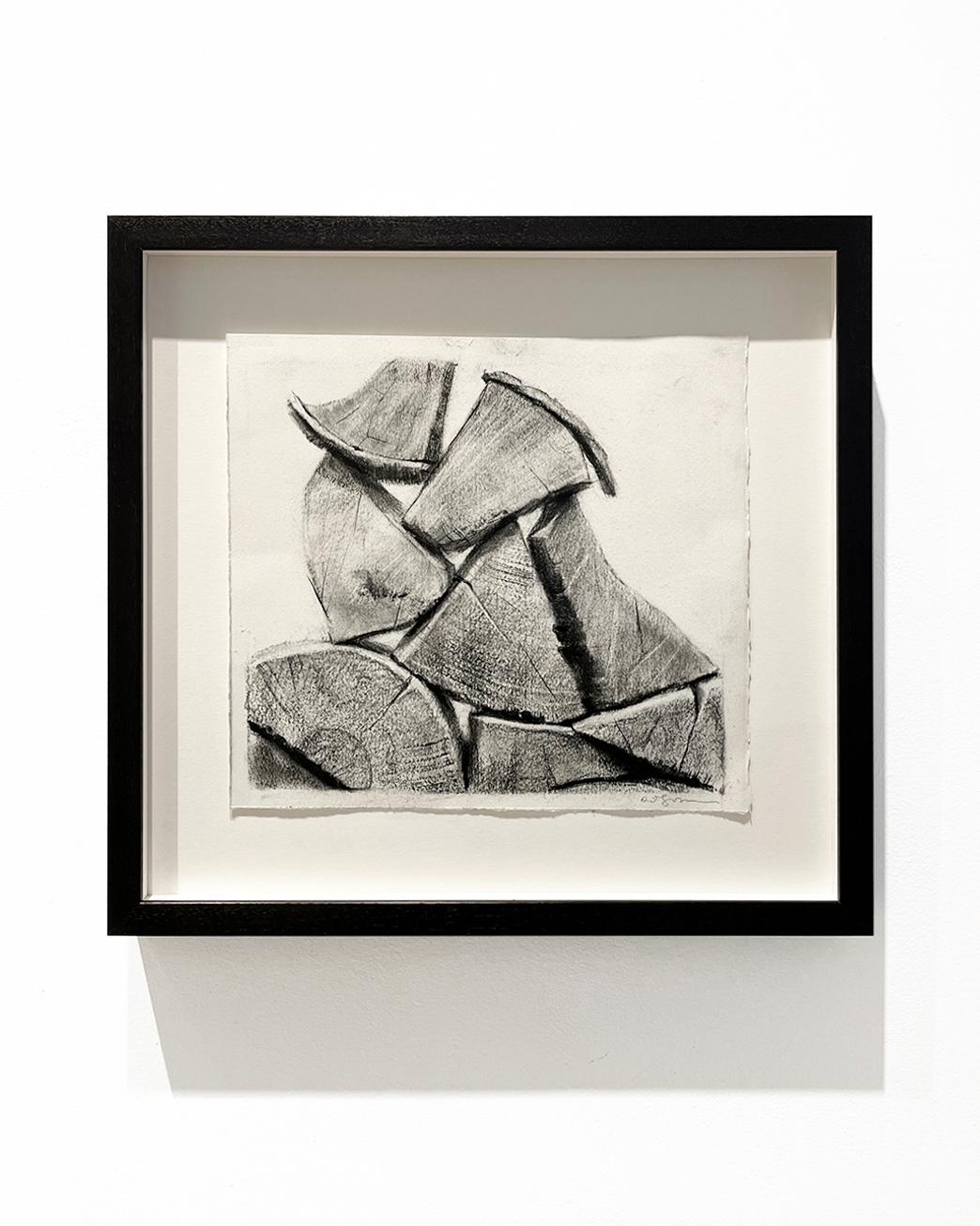 Gebäude (Fotorealistische schwarz-weiße Kohlezeichnung einer Holzflor auf Papier) – Art von David Soman