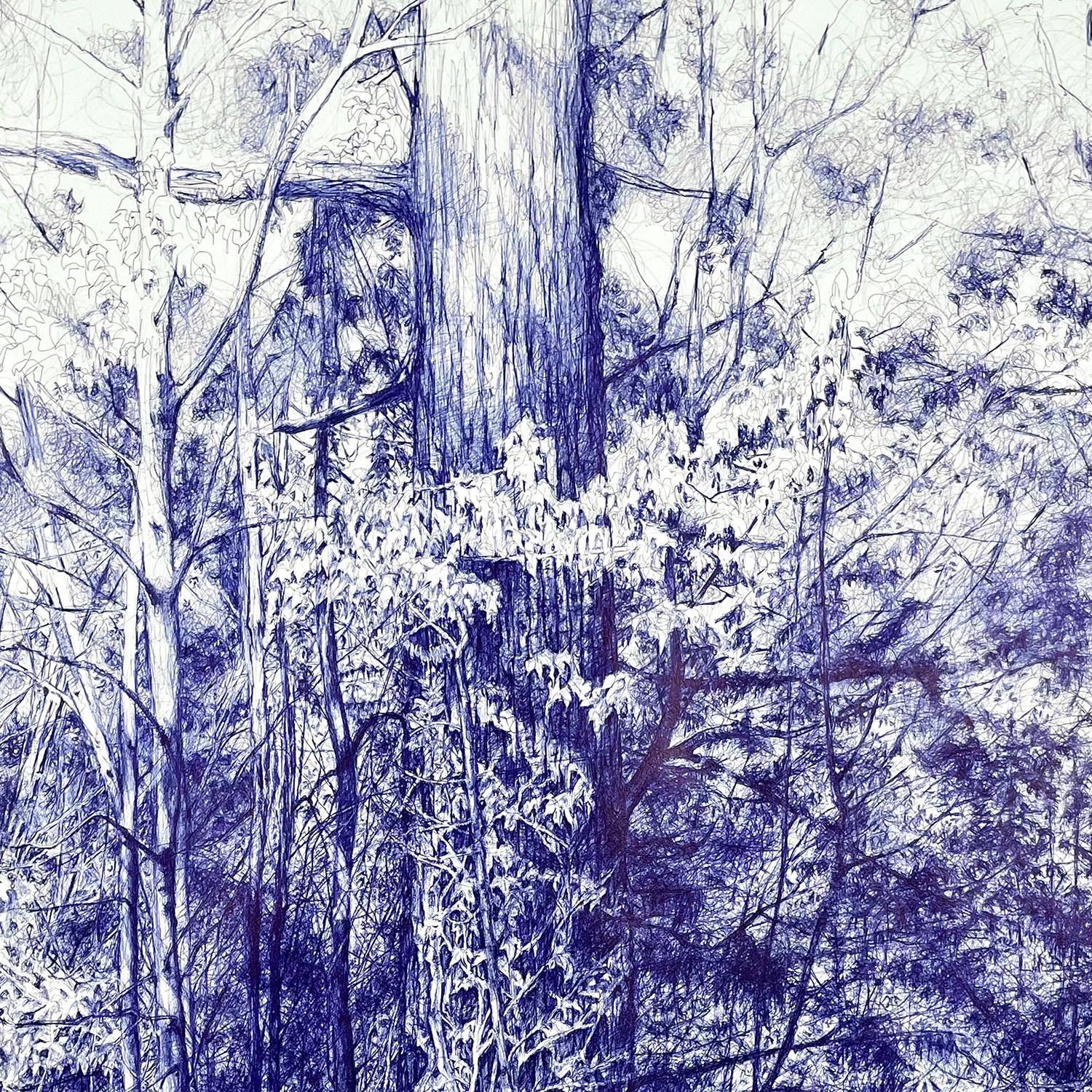 Oracle de BASTET (dessin au stylo à bille bleu d'un paysage forestier avec des arbres), 2023
stylo à bille sur papier Arches
Taille de l'image : 40 x 30 pouces
Taille du cadre : 41.5 x 31.5 pouces

Pour créer les dessins de sa dernière série, Newman