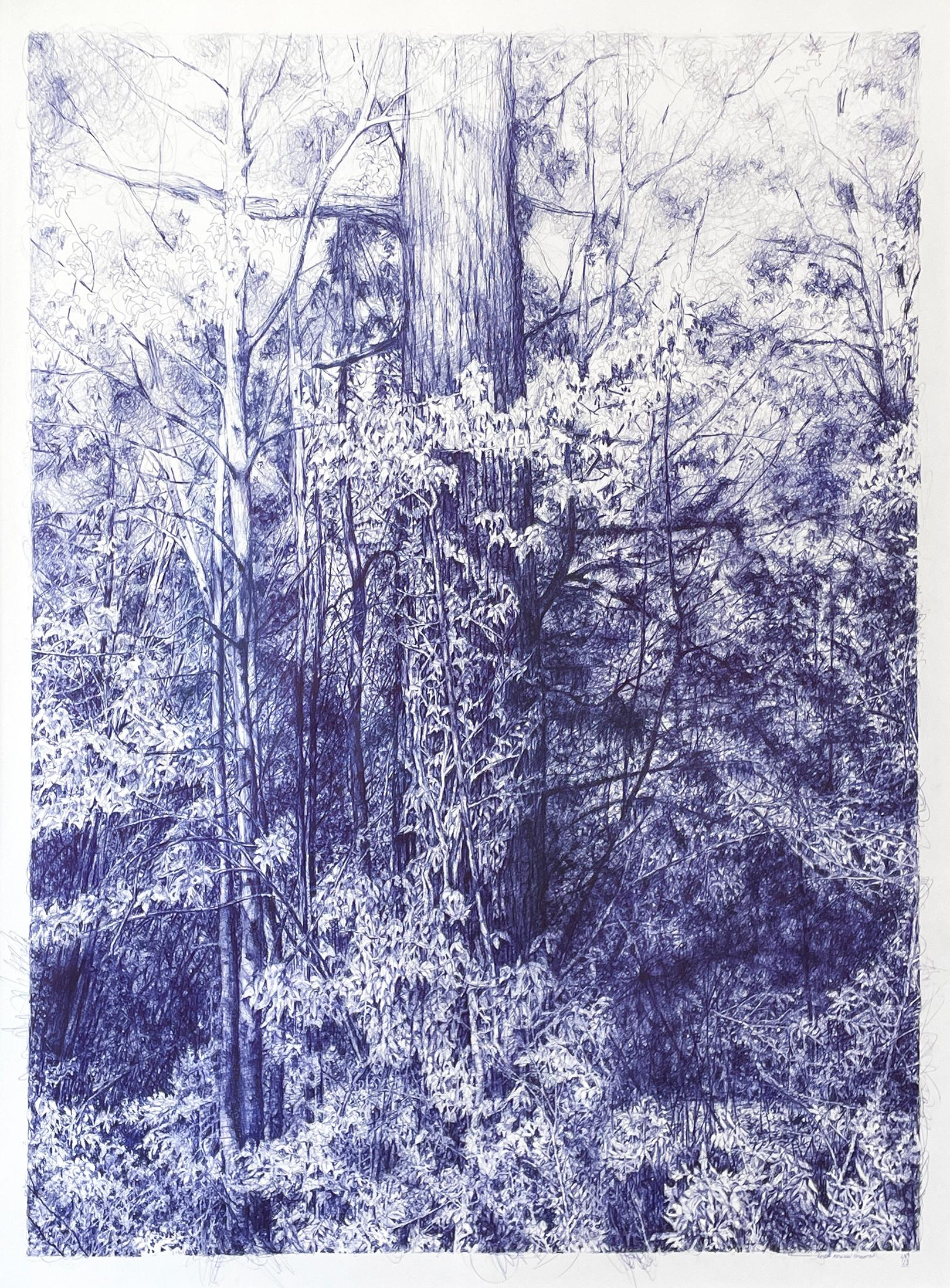 Linda Newman Boughton Landscape Art - Oracle of Bastet (Blue Ballpoint Pen Drawing of Forested Landscape with Trees)