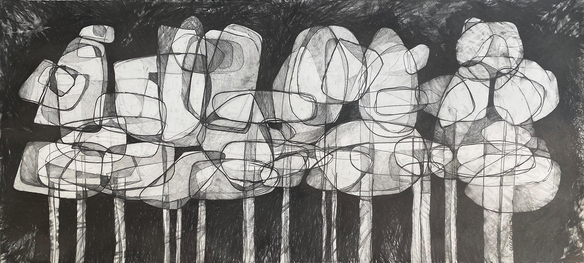 Waterlilies V (Contemporary Horizontal Pencil Drawing of Abstract Flowers)