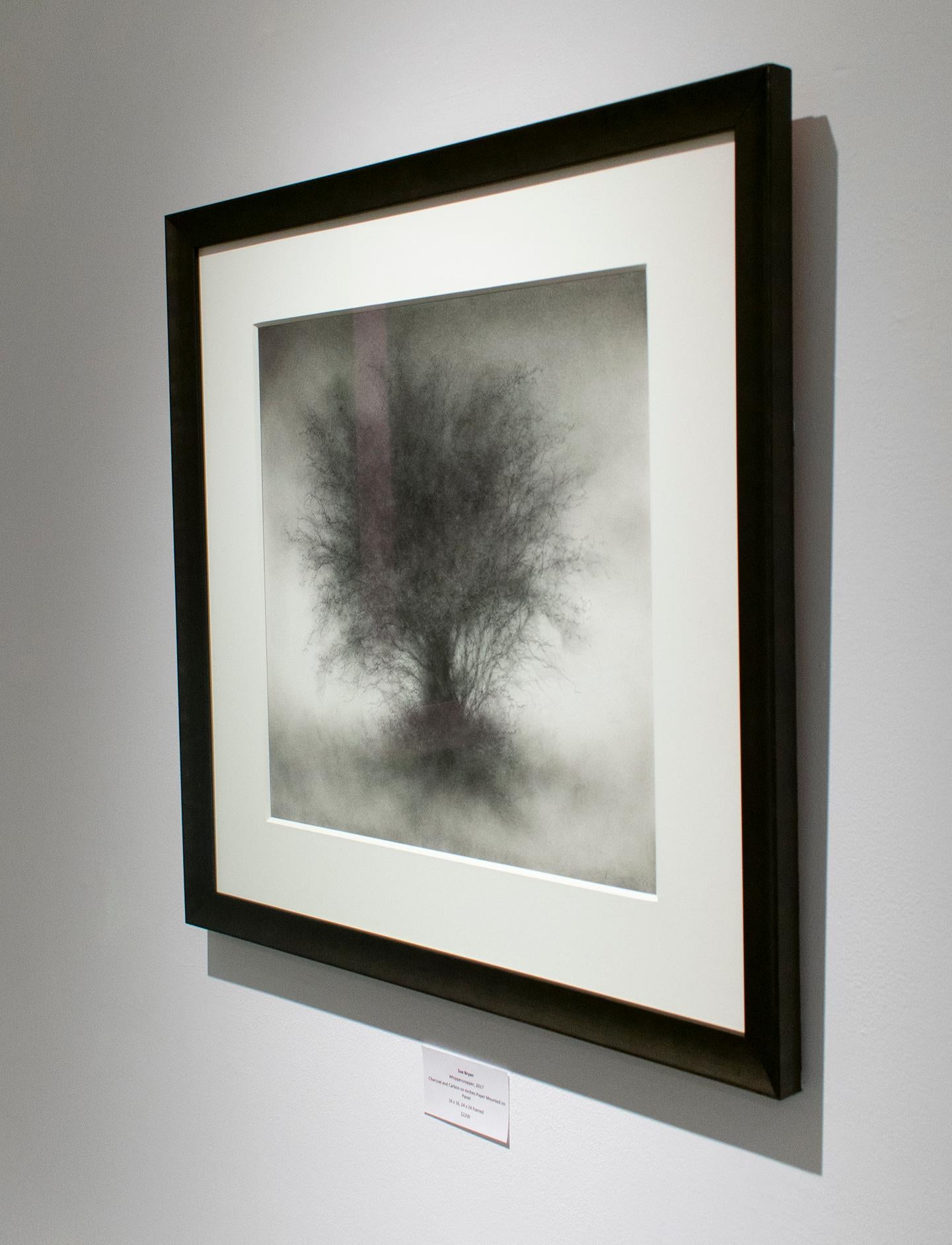 Whippersnapper (Realistic Charcoal Landscape Drawing on Panel of a Large Tree) - Gray Landscape Art by Sue Bryan