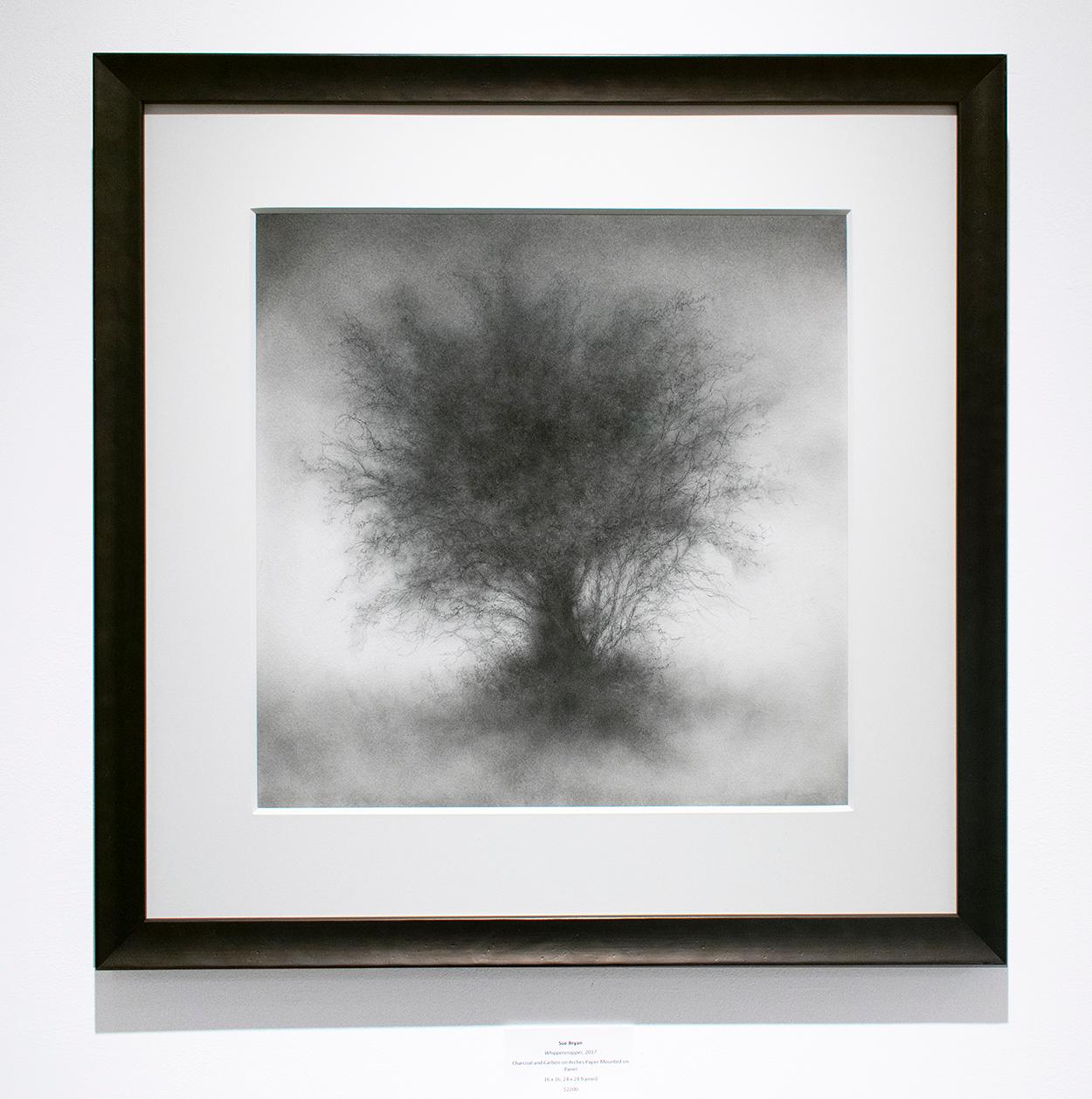Whippersnapper (Realistic Charcoal Landscape Drawing on Panel of a Large Tree) - Contemporary Art by Sue Bryan