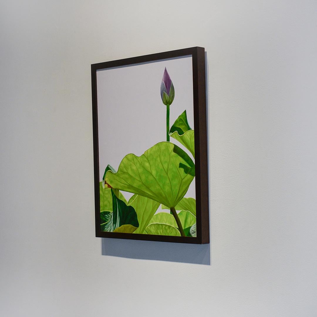 20 x 16 x 1,5 Zoll
öl auf Leinwand
Mit der Genauigkeit einer Stilllebenfotografie gemalt, leuchtet dieses hartkantige realistische Gemälde des Künstlers Frank DiPetiro von Lotusblättern und -knospen, die kurz vor der Blüte stehen, mit grüner