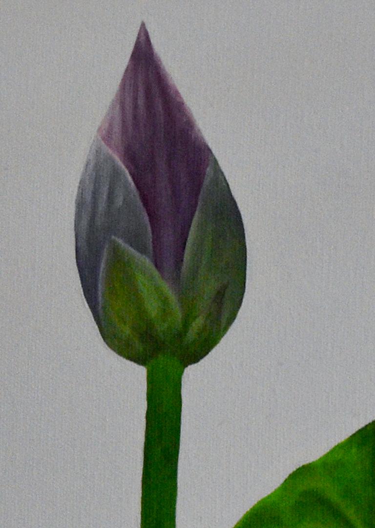 Lotus No. 8 (Realistisches Stillleben mit grünen Lotusblättern und Blumenknospen) im Angebot 2