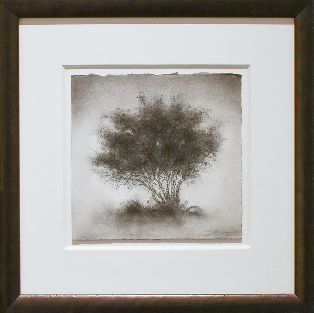 Little Scrap: Realistic Black & White Charcoal Tree Landscape Drawing, Framed - Art by Sue Bryan