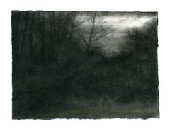 Cold Light, Winter Trees (Dark Charcoal Landscape Drawing of a Country Forest)
