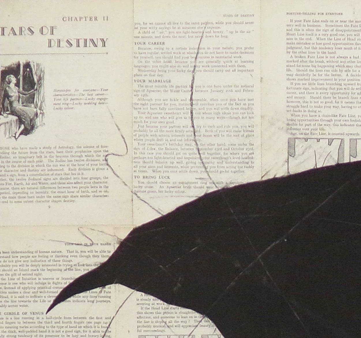 Raven lesen die Linien: Chalk-Zeichnung eines schwarzen Vogels auf Vintage-Bücherseiten (Zeitgenössisch), Art, von Louise Laplante