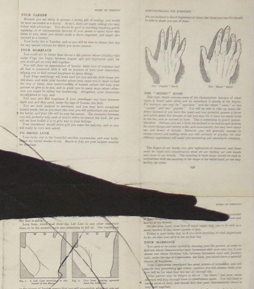 Raven lesen die Linien: Chalk-Zeichnung eines schwarzen Vogels auf Vintage-Bücherseiten (Beige), Animal Art, von Louise Laplante