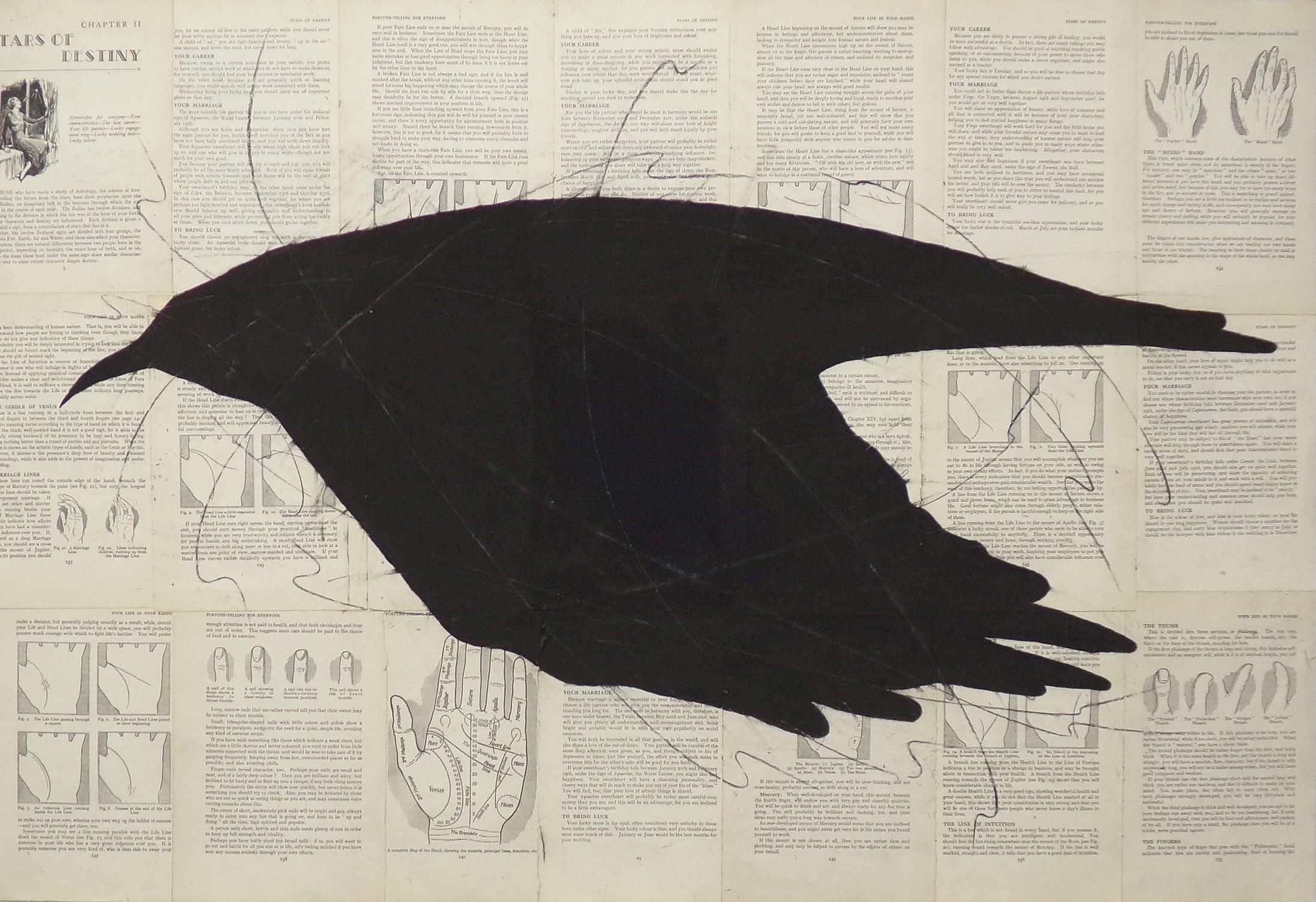 Raven Reads the Lines: Chalk Drawing of Black Bird on Vintage Book Pages