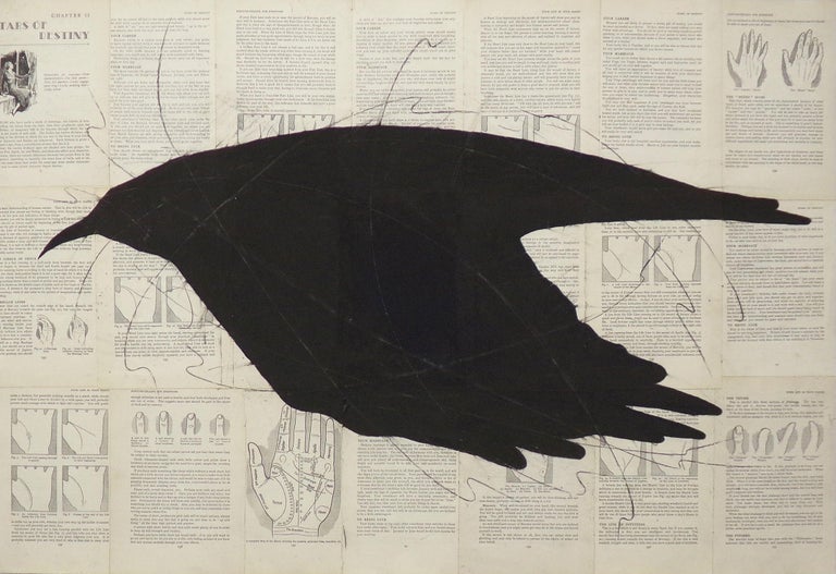 Louise Laplante Animal Art - Raven Reads the Lines: Chalk Drawing of Black Bird on Vintage Book Pages
